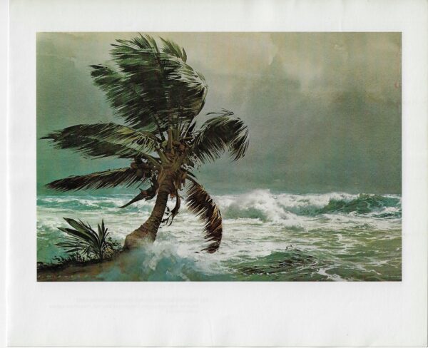 Vintage book page maritime print "Palm and surf" Carl G. Evers In the fringe of a storm on the Florida Keys c.1972 - Image 2