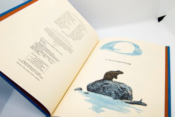 Beaver Moon Vintage children's cloth wrapped hardcover First edition 1978 by Miska Miles Very charming! - Image 5