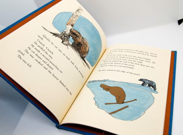 Beaver Moon Vintage children's cloth wrapped hardcover First edition 1978 by Miska Miles Very charming! - Image 6