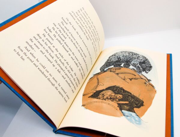 Beaver Moon Vintage children's cloth wrapped hardcover First edition 1978 by Miska Miles Very charming! - Image 7