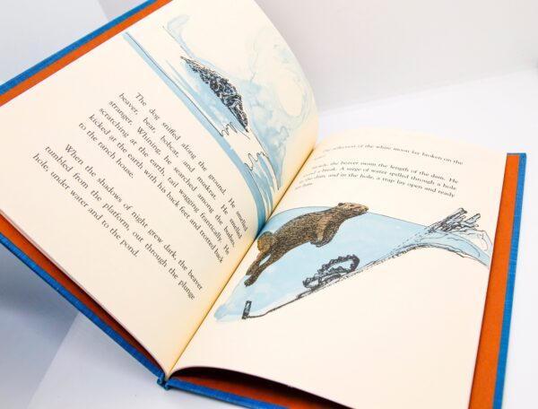 Beaver Moon Vintage children's cloth wrapped hardcover First edition 1978 by Miska Miles Very charming! - Image 8