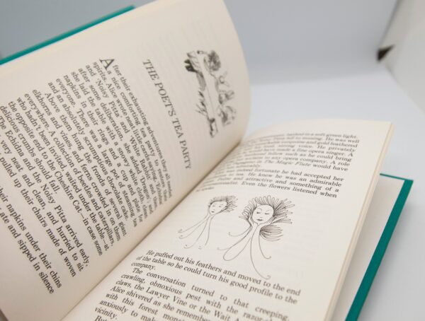The New Adventures of Alice in Rainforest Land 1988 First edition vintage hardcover The White Rabbit and the Cheshire Cat are back! - Image 7