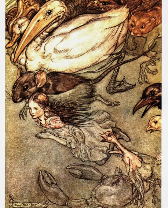 Alice in Wonderland Arthur Rackham 1907 art “The Pool of Tears” Color vintage book page FREE SHIPPING