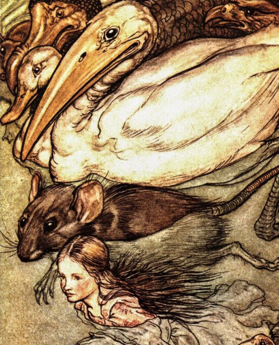 Alice in Wonderland Arthur Rackham 1907 art “The Pool of Tears” Color vintage book page FREE SHIPPING