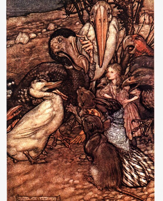 Alice in Wonderland Arthur Rackham [1907] “They all crowded round it…” Color vintage book plate Ready to frame FREE SHIPPING