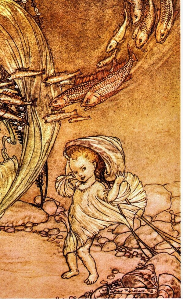 Arthur Rackham [1909] "The Infancy of Undine" Vintage art book page FREE SHIPPING - Image 3
