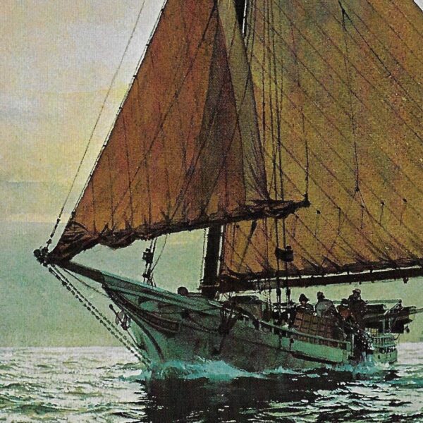 Vintage book page maritime print "Skipjacks at work - dredging oysters the traditional way" Carl G. Evers c.1972