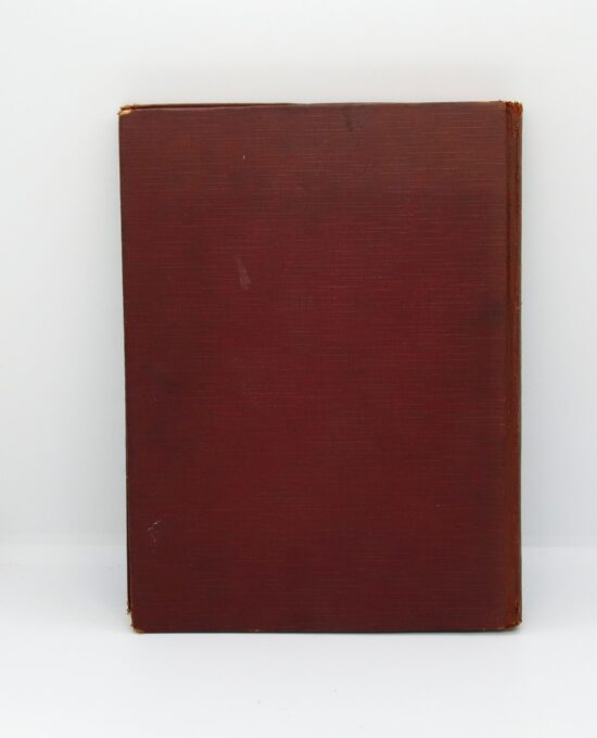 The Adventures of Tommy Cat the Sailoer 1928 First edition Illustrated children’s hardcover stroybook