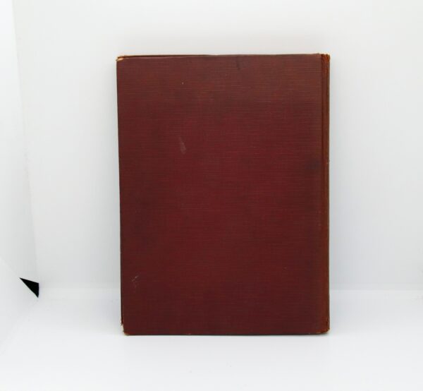 The Adventures of Tommy Cat the Sailoer 1928 First edition Illustrated children's hardcover stroybook - Image 2