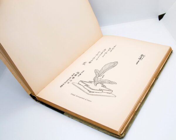 Japanese Flower Arrangement [Ike-Bana] Applied to Western Needs 1914 Mary Averill First edition, 2nd printing Illustrated vintage hardcover - Image 9