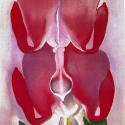 Georgia O'Keeffe print 1932 "Bleeding Heart" Original vintage color book page