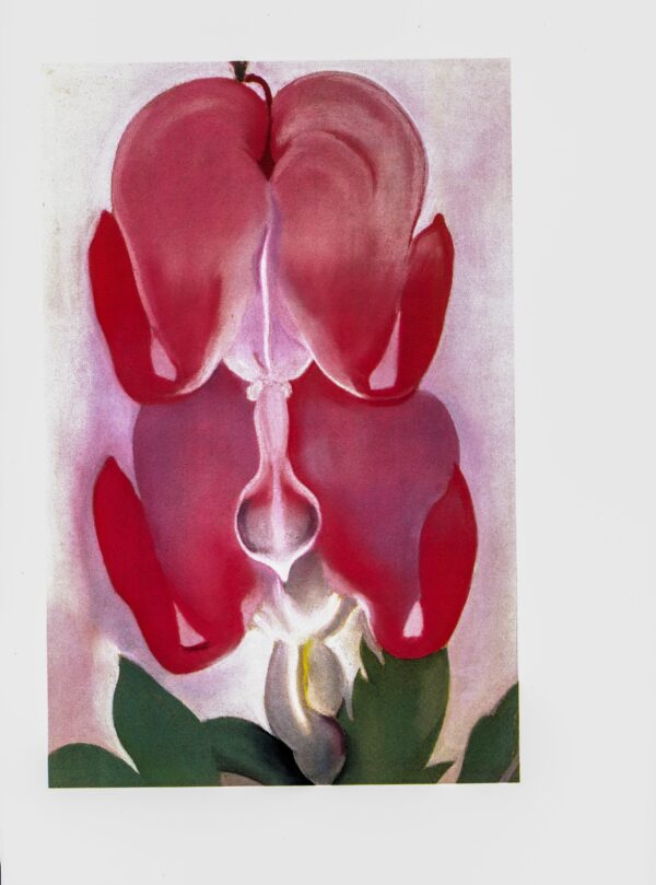 Georgia O'Keeffe print 1932 "Bleeding Heart" Original vintage color book page - Image 2