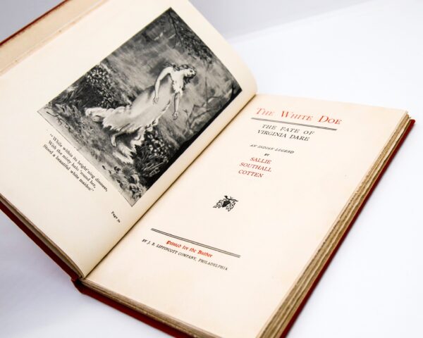 Sallie Southall Cotten "The White Dow" 1901 First edition presentation copy antique cloth wrapped hardcover Illustrated - Image 4