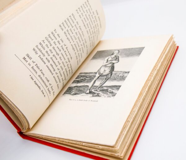 Sallie Southall Cotten "The White Dow" 1901 First edition presentation copy antique cloth wrapped hardcover Illustrated - Image 6