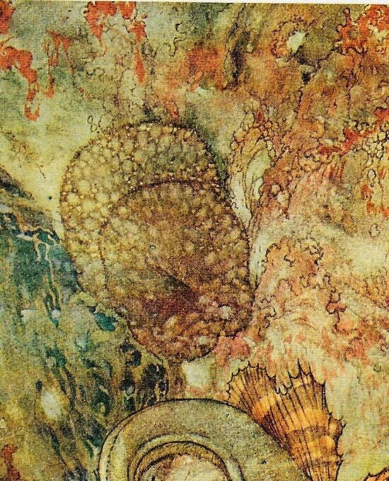 The Little Mermaid Hans Andersen stories Edmund Dulac “The Merman King had been for many years…” Vintage art book page FREE SHIPPING