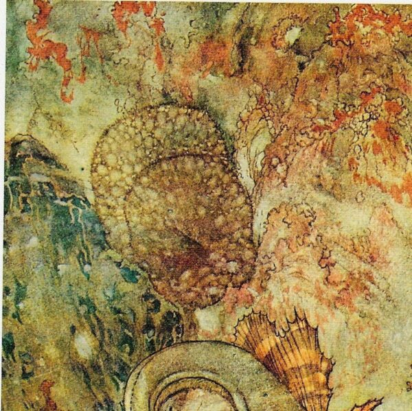 The Little Mermaid Hans Andersen stories Edmund Dulac "The Merman King had been for many years..." Vintage art book page FREE SHIPPING - Image 2