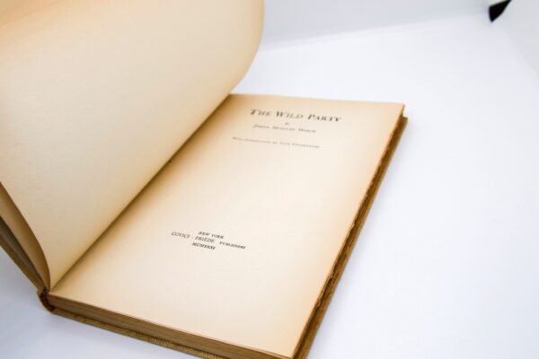The Wild Party 1931 Early American print Cloth wrapped vintage hardcover - Image 4