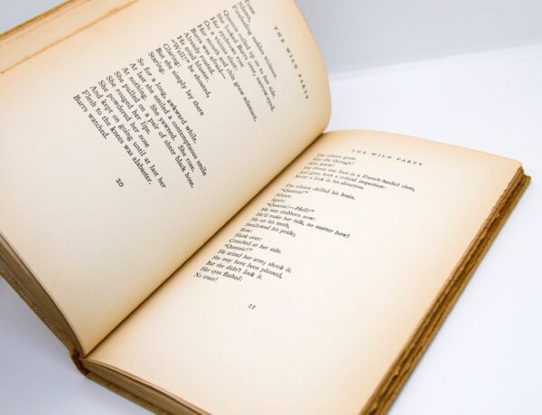 The Wild Party 1931 Early American print Cloth wrapped vintage hardcover - Image 6
