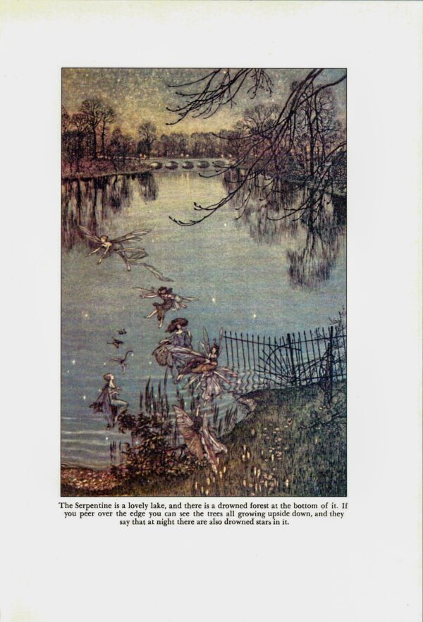 Arthur Rackham Vintage 2-sided fairy tale art book page "The Serpentine is a Lovely Lake..." & "The Fairies of the Serpentine" Peter Pan - Image 2