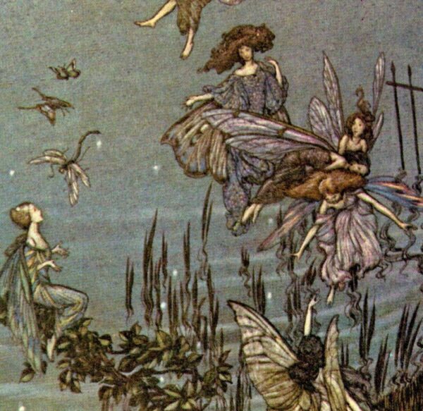 Arthur Rackham Vintage 2-sided fairy tale art book page "The Serpentine is a Lovely Lake..." & "The Fairies of the Serpentine" Peter Pan - Image 3