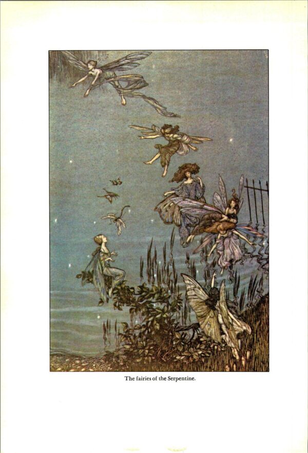 Arthur Rackham Vintage 2-sided fairy tale art book page "The Serpentine is a Lovely Lake..." & "The Fairies of the Serpentine" Peter Pan - Image 4