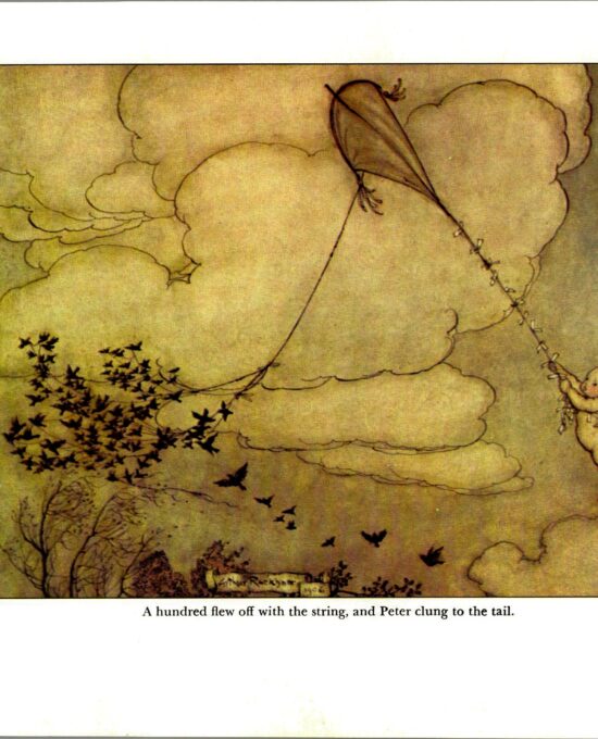 Arthur Rackham Vintage 2-sided art book page “Peter clung to the tail” & “…the birds said the would help no more…” Kensington Gardens