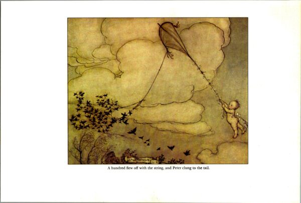 Arthur Rackham Vintage 2-sided art book page "Peter clung to the tail" & "...the birds said the would help no more..." Kensington Gardens - Image 2