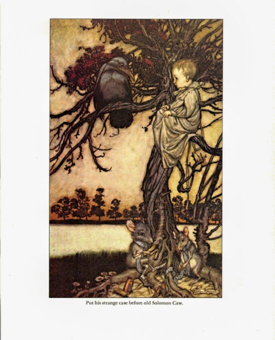 Arthur Rackham Vintage 2-sided art book page “[he] put his case before Simon Caw…” & “Do it again!” Kensington Gardens FREE SHIPPING