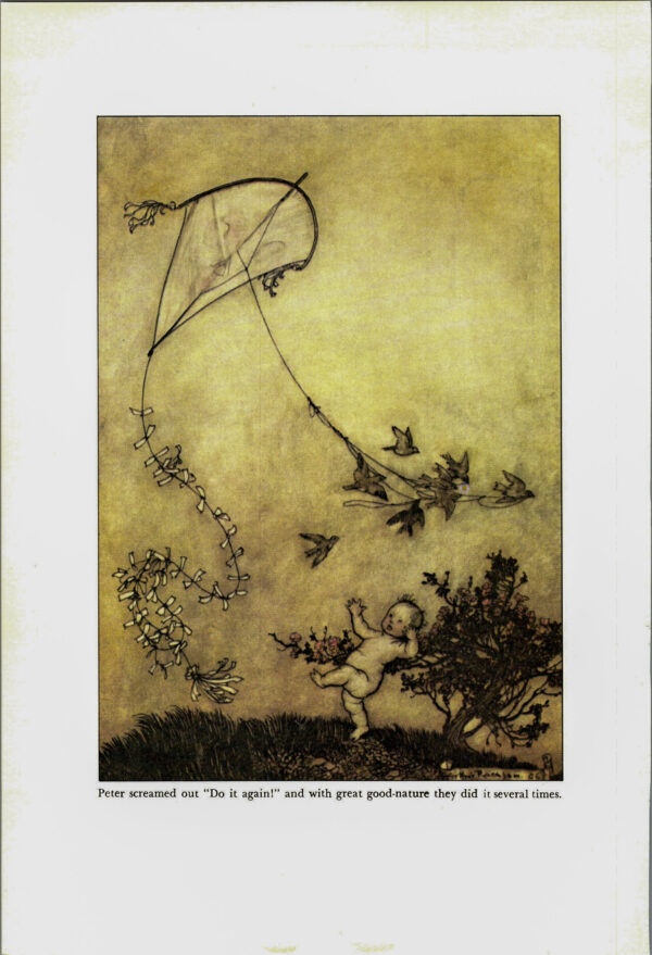 Arthur Rackham Vintage 2-sided art book page "[he] put his case before Simon Caw..." & "Do it again!" Kensington Gardens FREE SHIPPING - Image 4