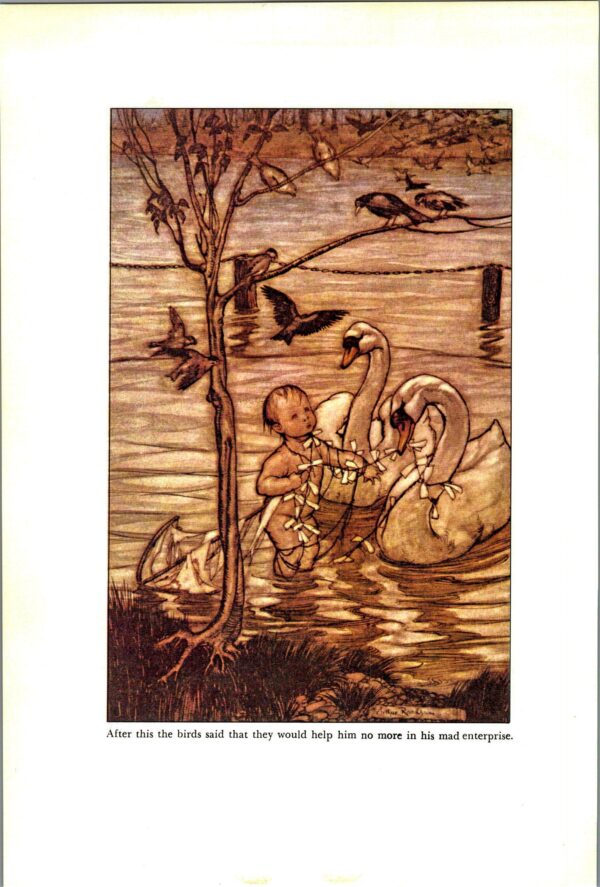 Arthur Rackham Vintage 2-sided art book page "Peter clung to the tail" & "...the birds said the would help no more..." Kensington Gardens - Image 4