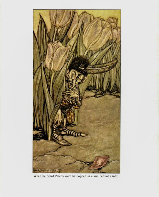 Arthur Rackham Vintage 2-sided art book page “When he heard Peter’s voice…” & “…sawing down a toadstool…” Kensington Gardens