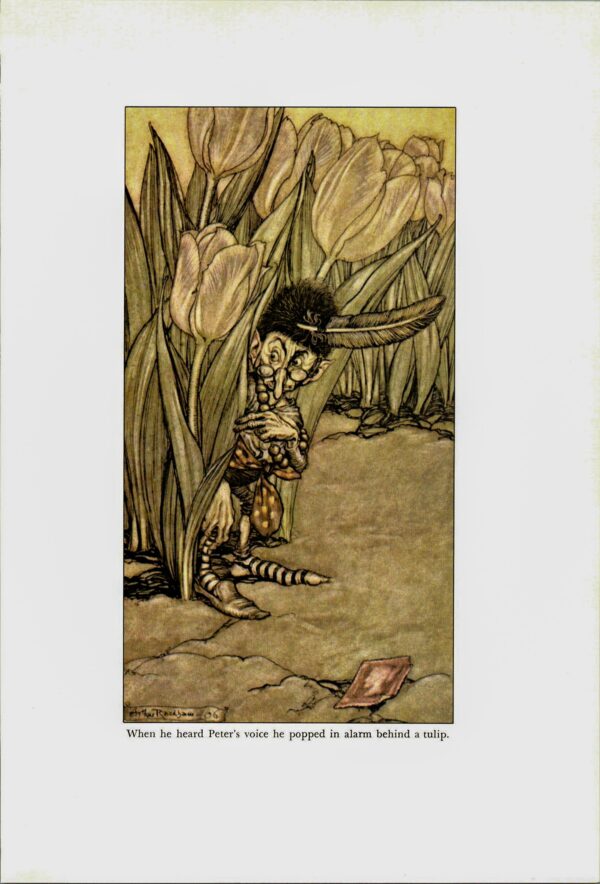 Arthur Rackham Vintage 2-sided art book page "When he heard Peter's voice..." & "...sawing down a toadstool..." Kensington Gardens - Image 2