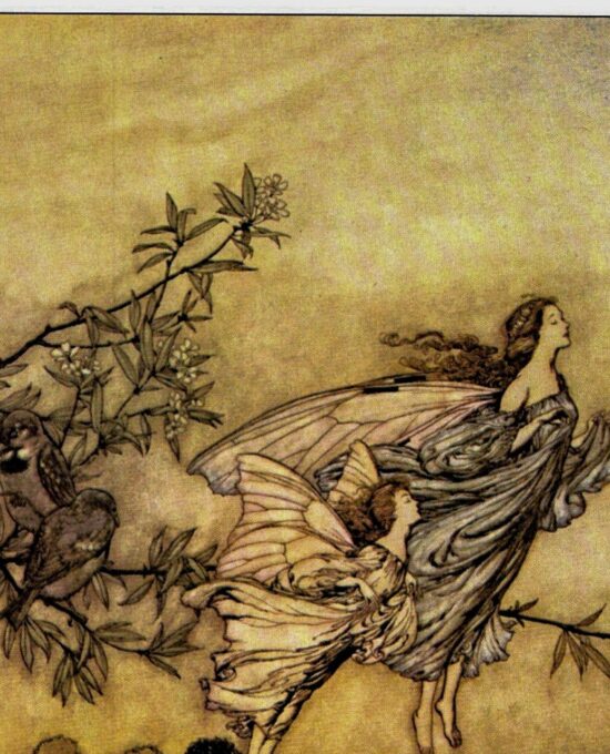 Arthur Rackham Vintage 2-sided fairy tale art book page “The fairies have their tiffs…” & “Away he flew” Kensington Gardens FREE SHIPPING