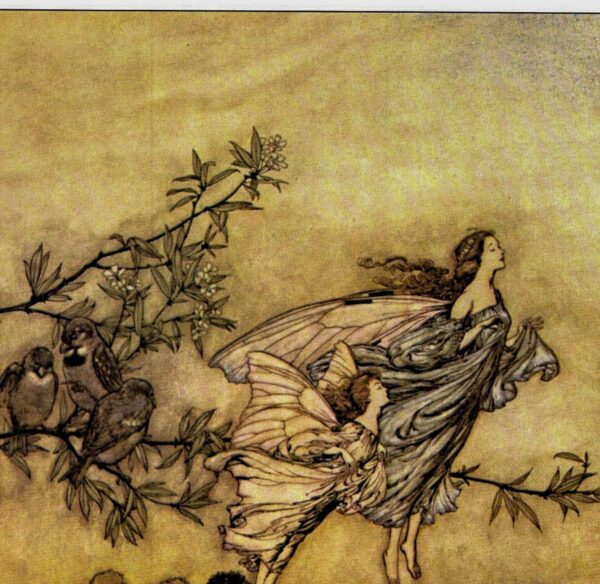 Arthur Rackham Vintage 2-sided fairy tale art book page "The fairies have their tiffs..." & "Away he flew" Kensington Gardens FREE SHIPPING