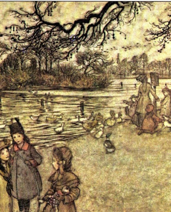 Arthur Rackham Vintage 2-sided fairy tale art book page “The island on which all the birds are born…” & “Old Mr. Salford” Peter Pan