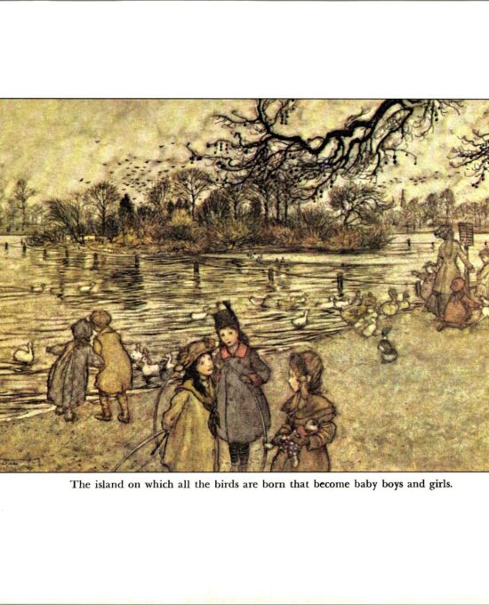 Arthur Rackham Vintage 2-sided fairy tale art book page “The island on which all the birds are born…” & “Old Mr. Salford” Peter Pan