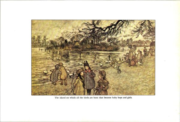 Arthur Rackham Vintage 2-sided fairy tale art book page "The island on which all the birds are born..." & "Old Mr. Salford" Peter Pan - Image 2