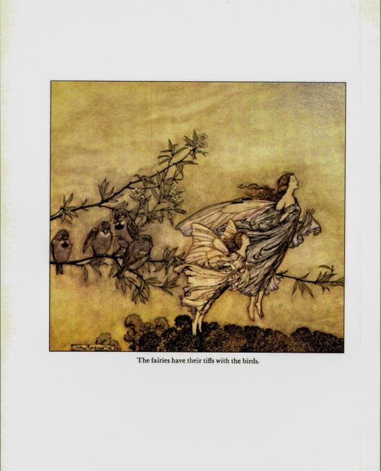 Arthur Rackham Vintage 2-sided fairy tale art book page “The fairies have their tiffs…” & “Away he flew” Kensington Gardens FREE SHIPPING