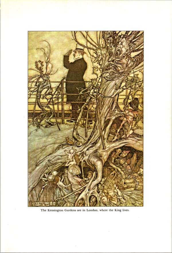 Arthur Rackham Vintage 2-sided fairy tale art book page "In the Broad Walk" & "The Kensington Gardens" Peter Pan FREE SHIPPING - Image 4