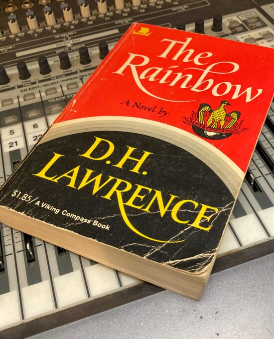 D.H. Lawrence “The Rainbow” 1969 Vintage trade paperback