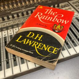 D.H. Lawrence "The Rainbow" 1969 Vintage trade paperback
