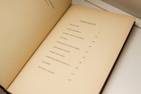 Dylan Thomas "Portrait of the Artist as a Young Dog" First edition 1940 vintage hardcover - Image 7
