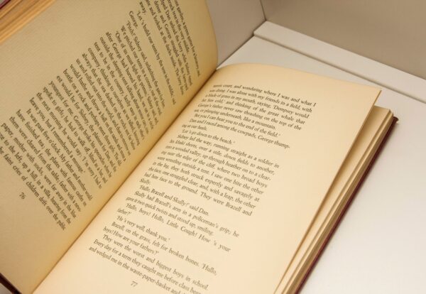 Dylan Thomas "Portrait of the Artist as a Young Dog" First edition 1940 vintage hardcover - Image 8