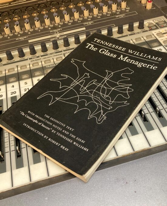 Tennessee Williams “The Glass Menagerie” Play and essay Vintage paperback