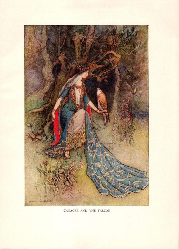 From Chaucer's Works "Canacee and the Falcon" Vintage illustration by Warwick Goble - Image 3