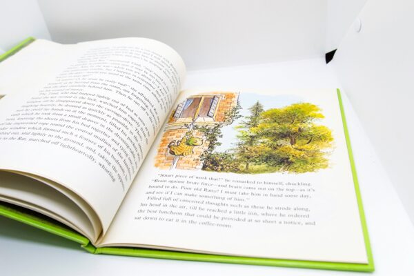 The Wind in The Willows 1983 Kenneth Grahame Illustrated by Val Biro Vintage hardcover British printing - Image 8