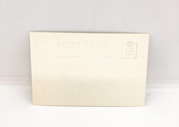 Devil's Tower Wyoming vintage 1930s real photo postcard blank - Image 2