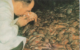 Thinking of You postcard Fish sniffing man [c.1980] Ugliest post cards ever!