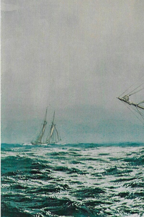 Vintage book page print "Barque Star of Finland" Carl G. Evers - Image 3