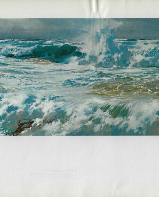 Caribbean Surf Vintage art book page maritime print Carl G. Evers